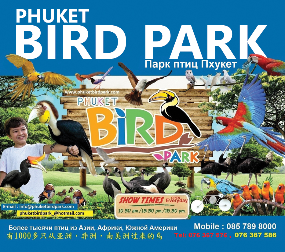Phuket bird park  